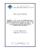 nghiên cứu và ứng dụng pheromone giới tính khảo sát diễn biến mật số quần thể sâu đục thân gây hại trên cây mai dương, carmenta mimosa eichlin and passoa (lepidoptera: sesiidae)