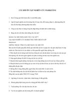 Câu hỏi ôn tập NGHIÊN CỨU MARKETING