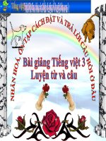 Bài giảng tiếng việt 3 tuần 21 bài luyện từ và câu   nhân hóa  ôn tập cách đặt và trả lời câu hỏi ở đâu 