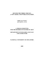 Beyond the three circles a new model for world englishes