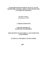 Bandwidth enhancement of dual patch microstrip antenna array using dummy EBG patterns on feedline