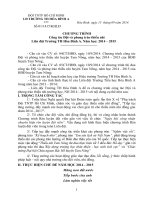 kế hoạch  chương trình năm học của Liên đội. Tham khảo