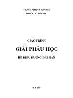 Giáo Trình Giải Phẫu Học ĐH Y Dược Huế