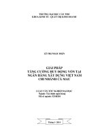 giải pháp tăng cường huy động vốn tại ngân hàng xây dựng việt nam chi nhánh cà mau