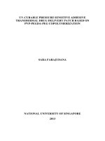 UV CURABLE PRESSURE SENSITIVE ADHESIVE TRANSDERMAL DRUG DELIVERY PATCH BASED ON PVP PEGDA PEG COPOLYMERIZATION 