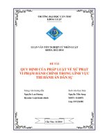 quy định của pháp luật về xử phạt vi phạm hành chính trong lĩnh vực thi hành án dân sự