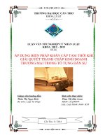 áp dụng biện pháp khẩn cấp tạm thời khi giải quyết tranh chấp kinh doanh thương mại trong tố tụng dân sự