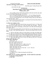 Kế hoạch năm và tháng của chi đoàn giáo viên. Mẫu tham khảo