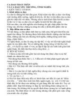 Hướng dẫn soạn bài : Ca dao than thân và ca dao yêu thương, tình nghĩa