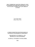 HDAC INHIBITOR TARGETED THERAPY WITH NANOMEDICINE INCREASES THE EFFICACY OF PACLITAXEL IN TRIPLE NEGATIVE BREAST CANCER 
