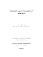 Robust learning with low dimensional structure   theory,algorithms and applications 