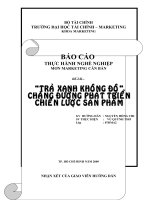 trà xanh không độ   chặng đường phát triển, chiến lược sản phẩm