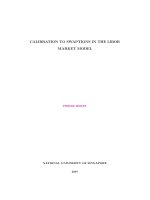 Calibration to swaptions in the libor market model