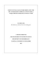 Survey of cellular factors modulating the HIV 1 integration complex activity using a unique protein screening system in vitro 