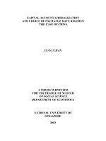 Capital account liberalization and choice of exchange rate regimes the case of china