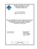 điều tra tình hình gây hại và khảo sát một số đặc điểm sinh học của sâu đục trái bưởi citripestis sagittiferella (lepidoptera: pyralidae) tại tỉnh vĩnh long và hậu giang