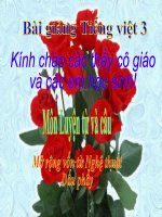 Bài giảng tiếng việt 3 tuần 24 bài luyện từ và câu   mở rộng vốn từ nghệ thuật  dấu phẩy 