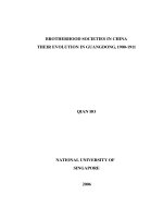 BROTHERHOOD SOCIETIES IN CHINA THEIR EVOLUTION IN GUANGDONG , 1900 1910