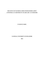 INFLUENCE OF MATERNAL BEHAVIOURS DURING JOINT ATTENTION AT 6 MONTHS ON VOCABULARY AT 18 MONTHS 