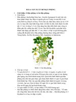 SẢN XUẤT bơ đậu PHỘNG