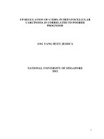 Up regulation of c EBPa in hepatocellular carcinoma is correlated to poorer prognosis 