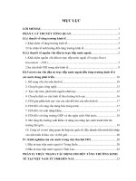 Vai trò của nguồn vốn đầu tư trực tiếp nước ngoài đối với tăng trưởng kinh tế ở các nước đang phát triển  nghiên cứu thực trạng đầu tư trực tiếp nước ngoài ở việt nam