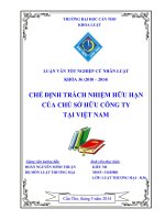 chế định trách nhiệm hữu hạn của chủ sở hữu công ty tại việt nam