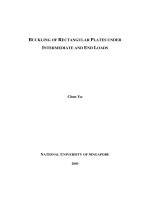 Buckling of rectangular plates under intermediate and end loads