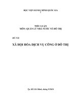 Tiểu luận môn quản lý nhà nước đô thị, vấn đề xã hội hóa dịch vụ công ở đô thị 