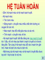 Bài Giảng Cấu Tạo Hệ Tuần Hoàn