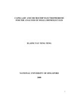 Capillary and microchip electrophoresis for the analysis of small biomolecules