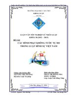 các hình phạt không tước tự do trong luật hình sự việt nam