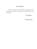 VẬN DỤNG MỘT SỐ PHƯƠNG PHƯƠNG PHÁP  DẠY HỌC TÍCH CỰC THEO QUAN ĐIỂM DẠY HỌC PHÂN HÓA TRONG DẠY HỌC PHẦN HOÁ HỌC  PHI KIM Ở TRƯỜNG TRUNG HỌC PHỔ THÔNG