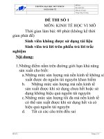 Bộ đề thi kinh tế vi mô 1 