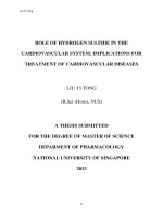 Role of hydrogen sulfide in the cardiovascular system implications for treatment of cardiovascular diseases 