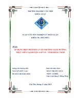 áp dụng biện pháp đưa vào trường giáo dưỡng. thực tiễn tại huyện lấp vò  tỉnh đồng tháp