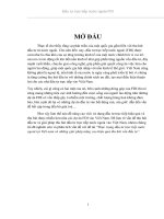 Thực trạng đầu tư trực tiếp nước ngoài tại việt nam 2001 2010 và những giải pháp nâng cao hiệu quả thu hút vốn đầu tư 