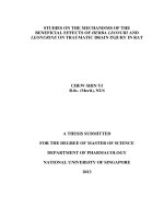 Studies on the mechanisms of the beneficial effects of herba leonuri and leonurine on traumatic brain injury in rat 
