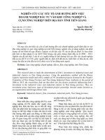 Nghiên cứu các yếu tố ảnh hưởng đến việc doanh nghiệp đầu tư vào khu công nghiệp và cụm công nghiệp trên địa bàn tỉnh Tiền Giang