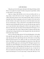 Vai trò của nguồn vốn đầu tư trực tiếp nước ngoài đối với tăng trưởng kinh tế ở các nước đang phát triển  