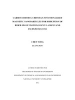 Carboxymethyl chitosan functionalized magnetic nanoparticles for disruption of biofilms of straphylococcus aureus and escherichia coli 
