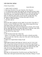 Hướng dẫn soạn bài : Nỗi thương mình