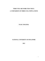 PERICYTES ARE MORE THAN MSCS  a COMPARISON OF THREE CELL POPULATIONS 