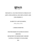 MECHANICAL ANALYSIS OF HUMAN LUMBAR FACET JOINT AFTER ARTIFICIAL DISC REPLACEMENT (ADR) USING PRODISC II 