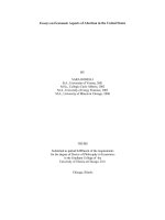 Essays on economic aspects of abortion in the united states 