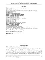 Điều chỉnh Quy hoạch chi tiết Khu nhà ở và hạ tầng công cộng xã Tân hồng  Từ Sơn  Bắc Ninh