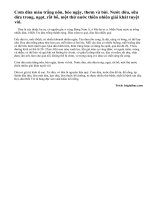 Thuyết minh về cây dừa