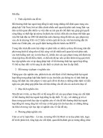 Bồi thường thiệt hại ngoài hợp đồng  niên luận