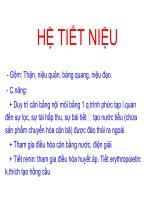 Bài Giảng Hệ Tiết Niệu