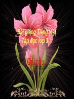 Bài giảng tiếng việt 3 tuần 22 bài tập đọc   cái cầu 